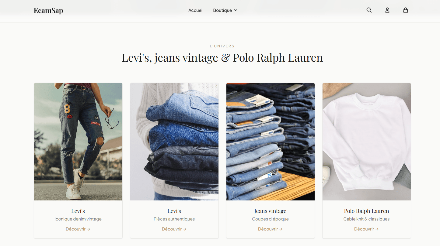 Aperçu de boutique en ligne